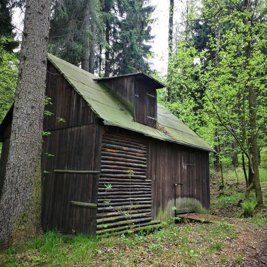 Ferienhaus Waltersdorf Großschönau Exterior foto